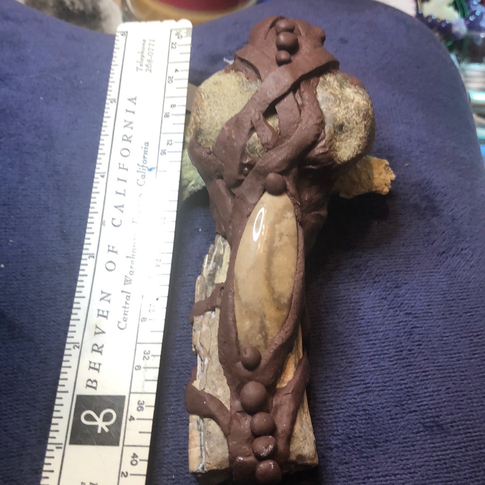 Talk about a Monster - it’s Dino Vertebrae /Tooth